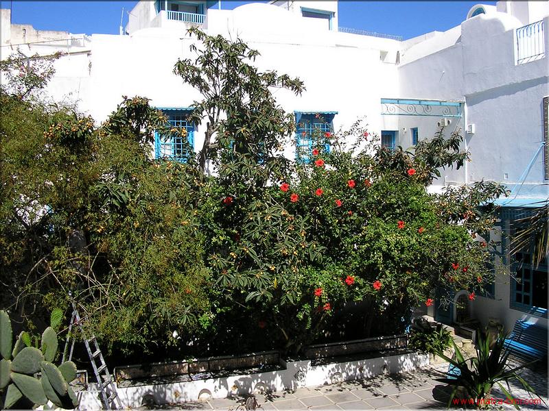 Sidi Bou Said (3)