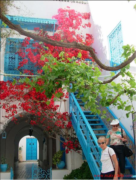 Sidi Bou Said (16)