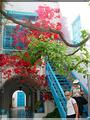 Sidi Bou Said (16)