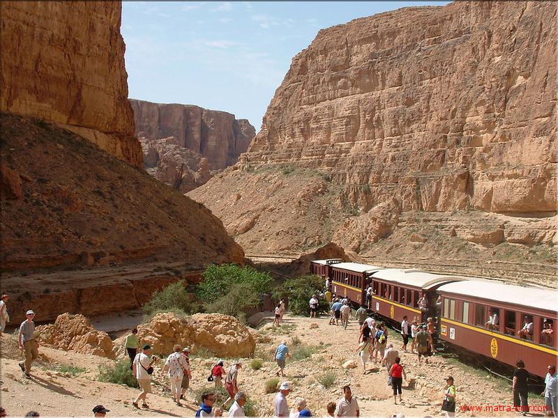 L&eacute;zard Rouge (13)