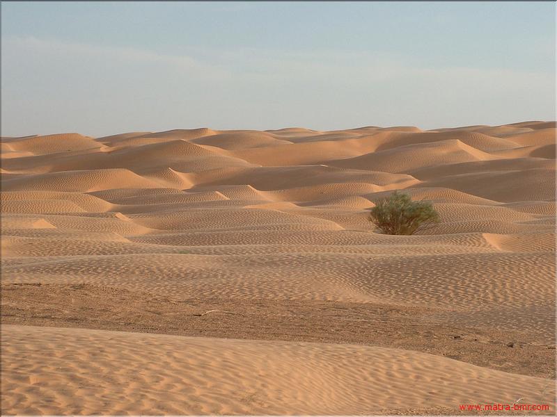 traversée en 4x4 (19)